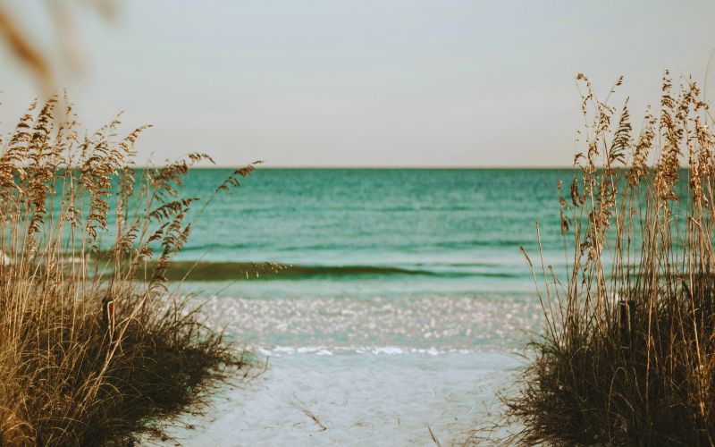 A sandy path lined with tall grasses leads to a calm, turquoise sea under a clear sky. The tranquil scene is inviting, much like the peace found through family mediation resources in times of need.