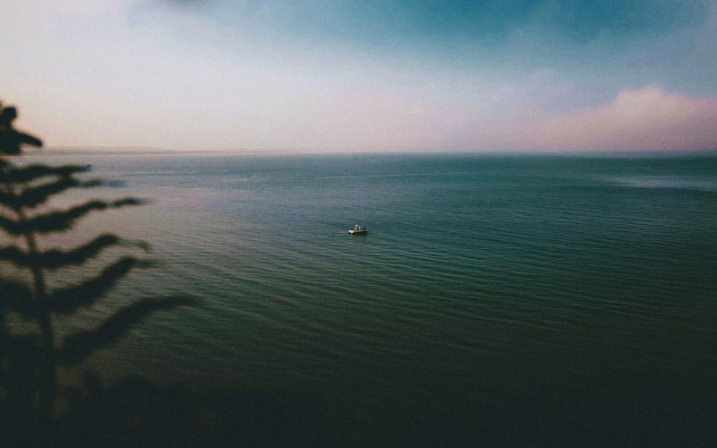 A small boat floats alone on a calm, vast expanse of blue water under a hazy sky. Like What is Family Mediation?, silhouetted leaves in the foreground frame a tranquil scene of peaceful separation and reflection.
